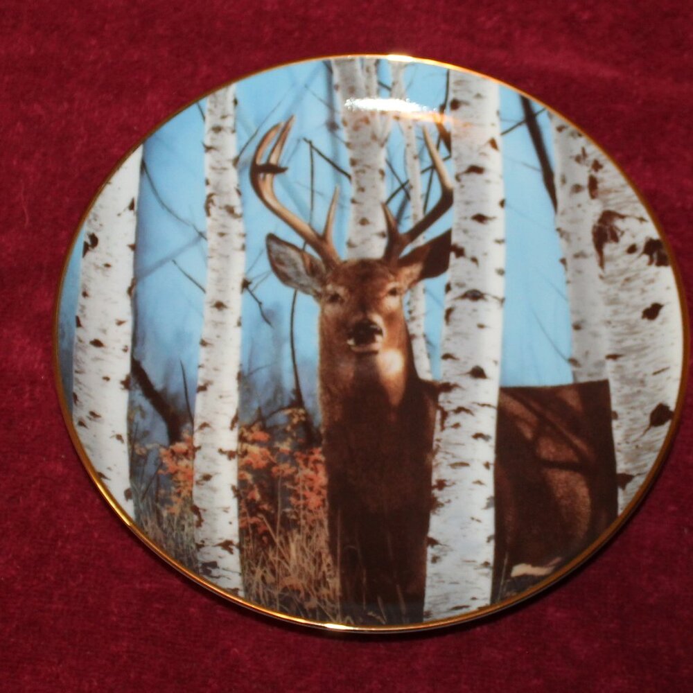 1992 Pride of the Wilderness by Bob Travers -Autumn Sentinel